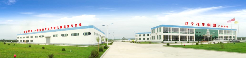 葫蘆島市委常委、副市長(zhǎng)張明謙蒞臨遼寧花生集團(tuán)考察指導(dǎo)(圖3)