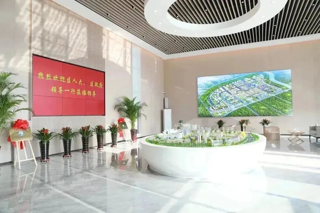 龍港區(qū)人大、區(qū)政府領(lǐng)導(dǎo)一行視察調(diào)研龍港國(guó)際醫(yī)療健康產(chǎn)業(yè)園(圖2)